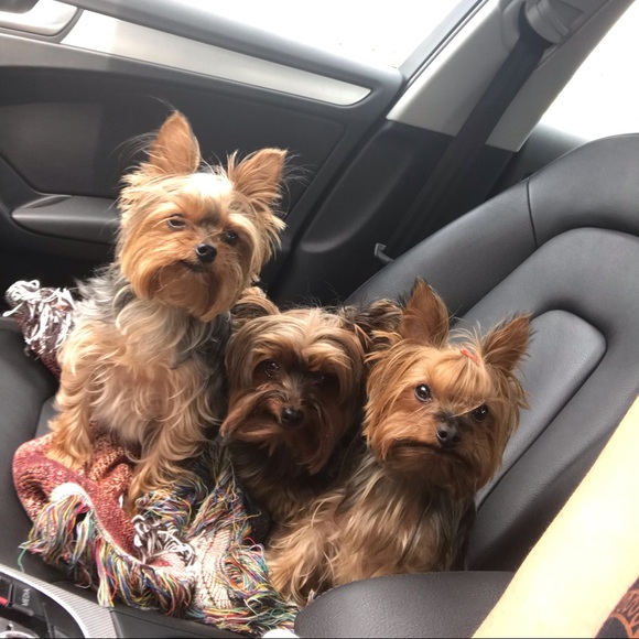 Meet your Posher, Marise r - Picture 3 of 3